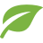 Green Leaf Icon 48