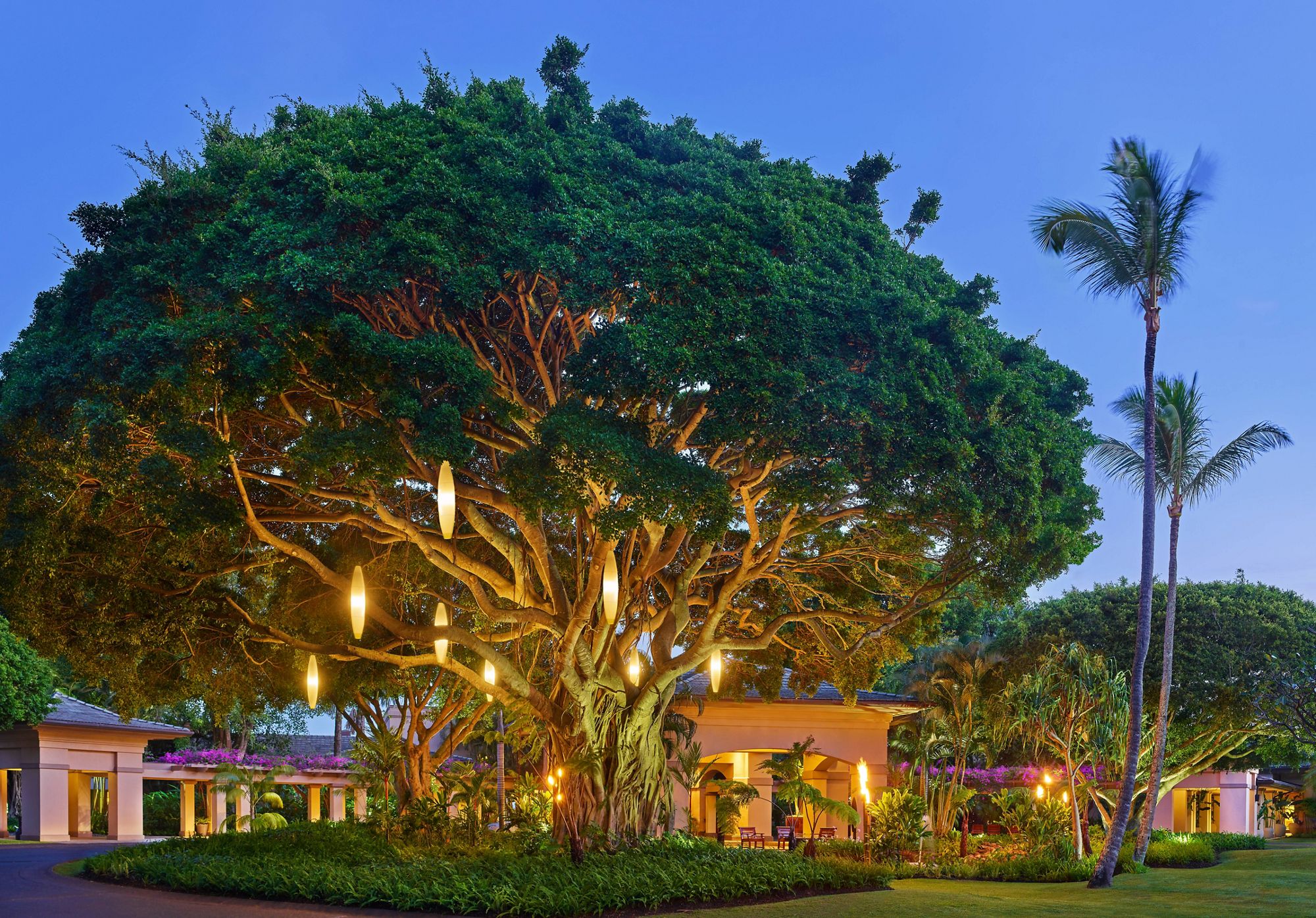Resort Tree